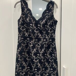 Ann Taylor Navy Lace Chemise